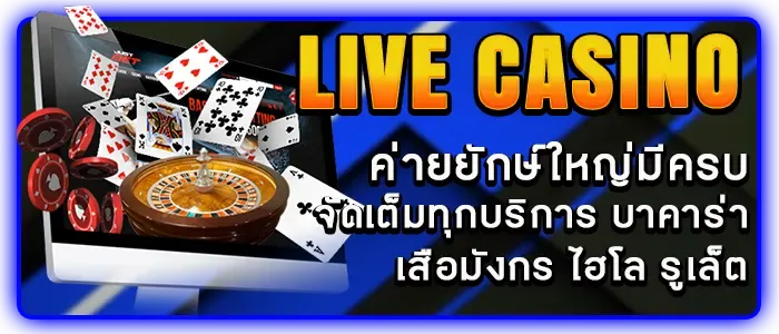 Molly555